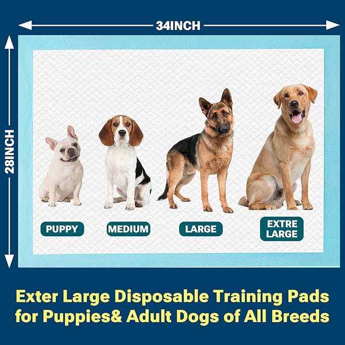 Extra Large Puppy Pads 28"x34",Super Absorbent Disposable Pee Pads for Dogs / Wee Wee Pads / Potty Training Pads, Incontinence Bed Underpads for Adults, 50 Count