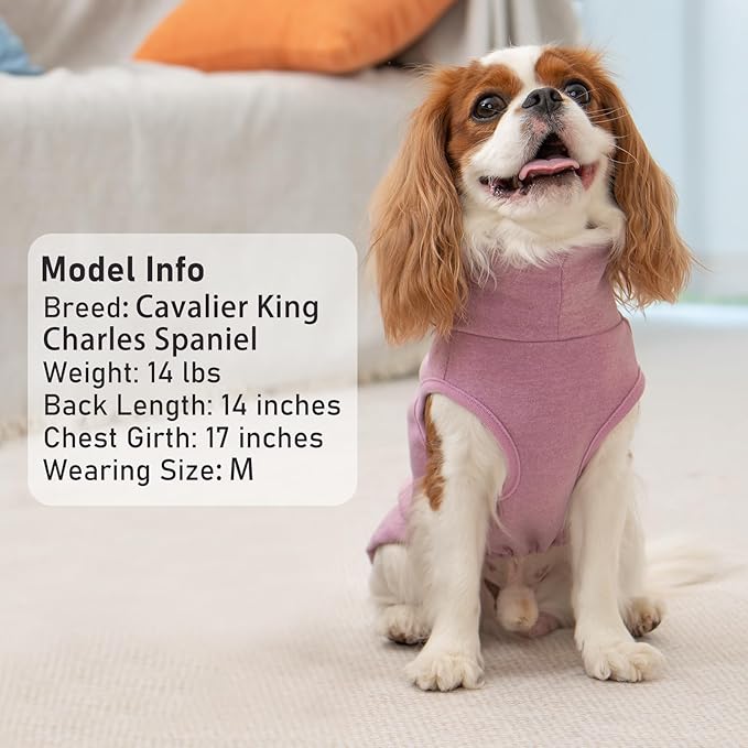 KYEESE 2Pack Dog Sweater Soft Dogs Clothes Warm Dachshund Clothes Turtleneck Pets Coats Dog Sweaters for Small Dogs Girl Pullover Small Pet Sweaters Stretchy Pet Sweatshirt