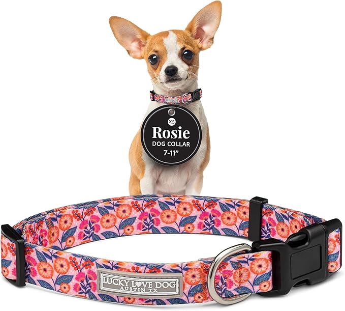 Lucky Love Dog - Adjustable Dog Collar with Easy Click Buckle for Small to Large Ones, Durable, & Comfortable for Male & Female Dogs, Pet Collar for Puppies & Adult Dogs - Rosie, XS