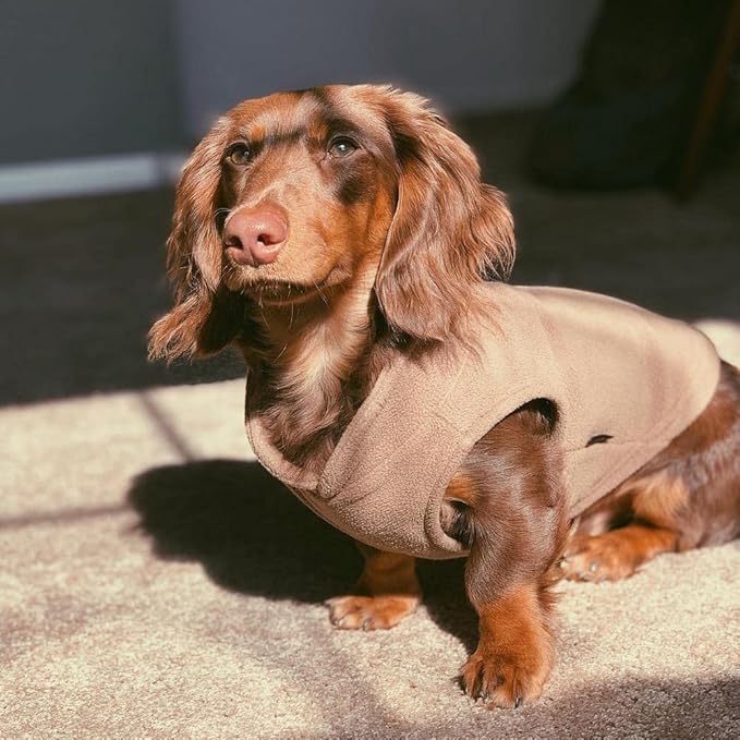 Gooby - Fleece Vest, Small Dog Pullover Fleece Jacket with Leash Ring, Clay, Large