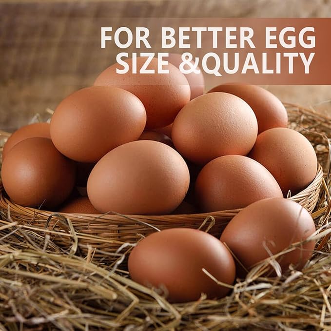 Organic Dried Mealworms for Chickens 5 LB Natural Non-GMO Mealworms High Protein Chickens Feed Meal Worms for Chicken Wild Birds Bluebirds Ducks Turtles Reptiles Laying Hens Treats & Food