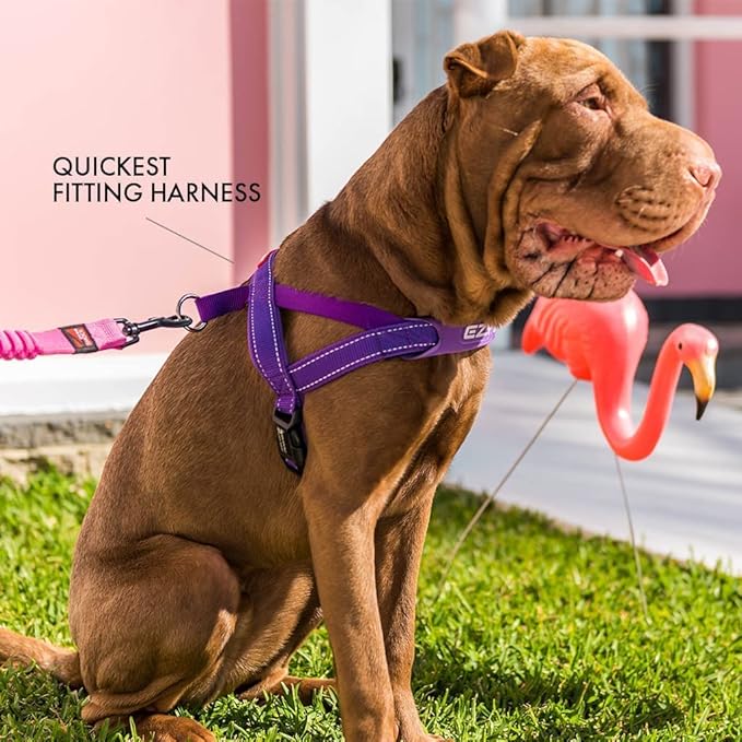 EzyDog Quick Fit Dog Harness – No Pull Harness for Training, Everyday Walking, and Easy Control - Adjustable Fit, Reflective, and Padded (Small, Denim)