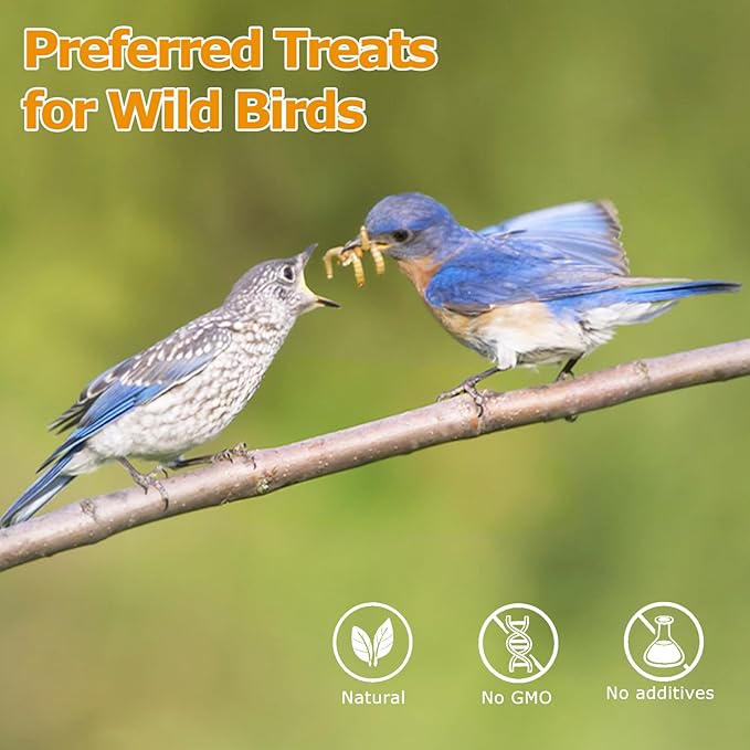 2LB Mealworms for Chickens Bulk - Non GMO High Calcium Dried Meal Worms for Wild Birds,Turkeys, Reptiles Food for Laying Hens Worms More Protein Than BSF Larvae for Chickens Treats Grubs