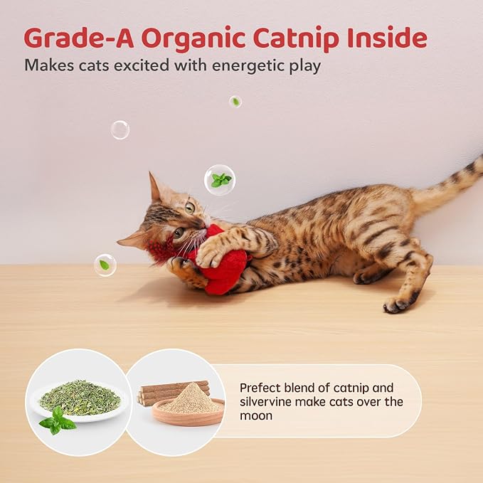 Potaroma Cat Toys Chirping Birds 2 Pcs with Catnip SilverVine, Interactive Cat Kicker, Lifelike Birdie Tweets, Indoor Kitty Kitten Exercise Toys 4.0"