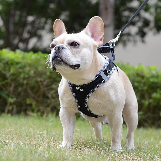 Mercano Soft Mesh Dog Harness and Leash Set, No-Chock Step-in Reflective Breathable Lightweight Easy Walk Vest Harnesses with Safety Buckle for Small Dogs, Cats (Black White, XXS)