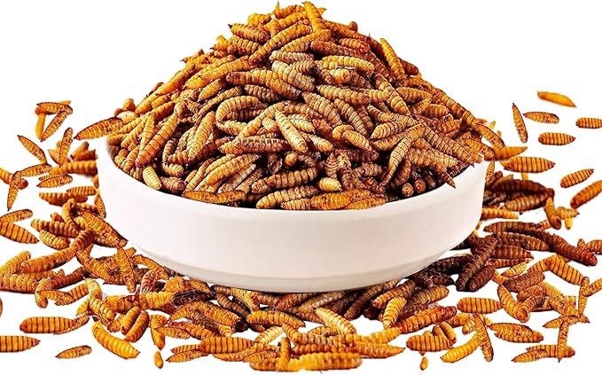 5LB Dried Black Soldier Fly Larvae Treat for Chicken, 100% Natural Non-GMO More Calcium Than Dried Mealworms High Protein Chicken Feed for Birds, Ducks, Layer Hens