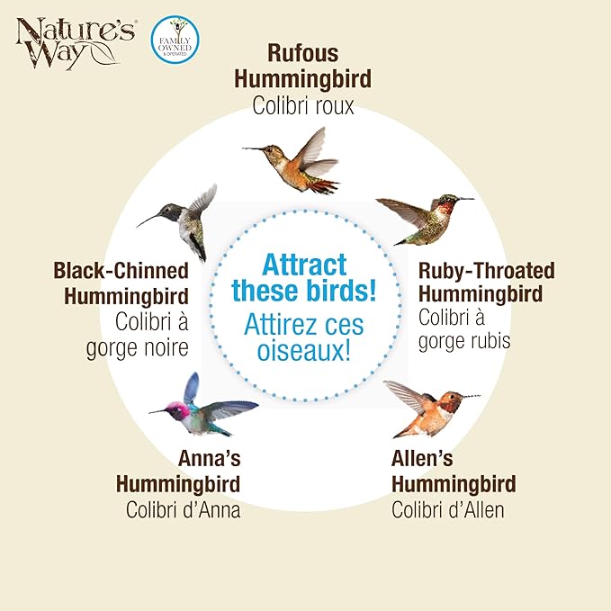 Nature's Way Hanging Glass Hummingbird Feeder for Outdoor Decor, 25 Ounce Capacity Nectar Feeder, 5 Easy to Clean Flexible Ports, Red