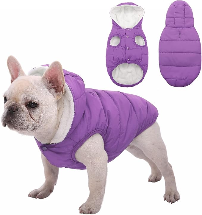 Windproof Waterproof Dog Coat Fleece & Cotton Lined Warm Jacket, Cold Weather Pet Apparel Clothes Vest for Small Medium Large Dog (XL, Purple)