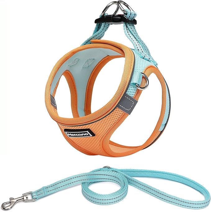 Mercano Soft Mesh Dog Harness and Leash Set, No-Chock Step-in Reflective Breathable Lightweight Easy Walk Vest Harnesses with Safety Buckle for Small Dogs, Cats (L, Orange Blue)