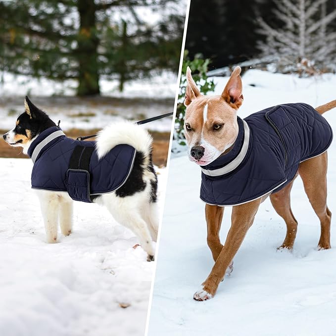 Dog Winter Coat Warm Padded Puppy Jacket Windproof Water Resistant Clothes for Small Medium Large Pets Christmas Sweater Outfit Vest(DarkBlue, 2XL)