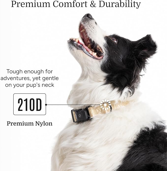 2025 New Edition, Fei & Eve MagEase Dog Collar - Patented Magnetic Buckles | Fur-Safe | Premium 210D Nylon | 450LB Escape-Proof | Adjustable Fit | Medium (Champagne)