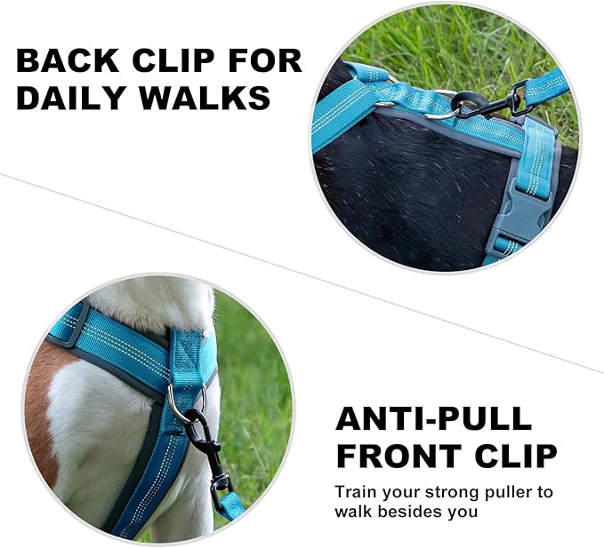 Plutus Pet No Pull Dog Harness, Adjustable Nylon Harness with Soft Padding, Reflective and Heavy Duty Dog Harness for Small, Medium, Large Dogs(Cyan, XL)