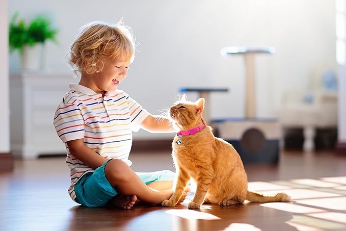 12 PCS Breakaway Cat Collars with Bell Colorful Soft Safety Buckle Cat Collars Adjustable Breakaway Kitten Collars Safety Collars for Cats (12 Colors)