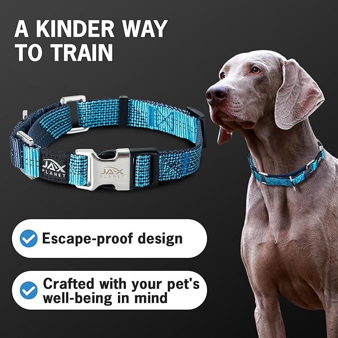 Blue Martingale Collar for Dogs - Heavy Duty Nylon Pet Collars for Escape-Free, No Pull Training & Walking with Alloy Metal Release Buckle & Reflective D Ring, One Time Adjustment, Safe & Secure