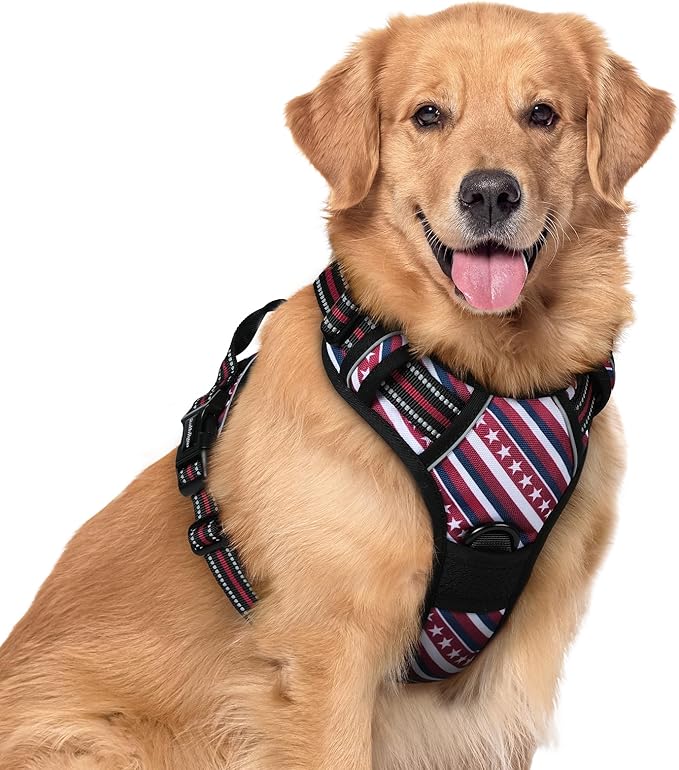 rabbitgoo Dog Harness No Pull with 2 Leash Clips, Adjustable Soft Padded, Reflective Oxford No Choke Pet Vest with Easy Control Handle for Large Dogs, Red Stripe, XL