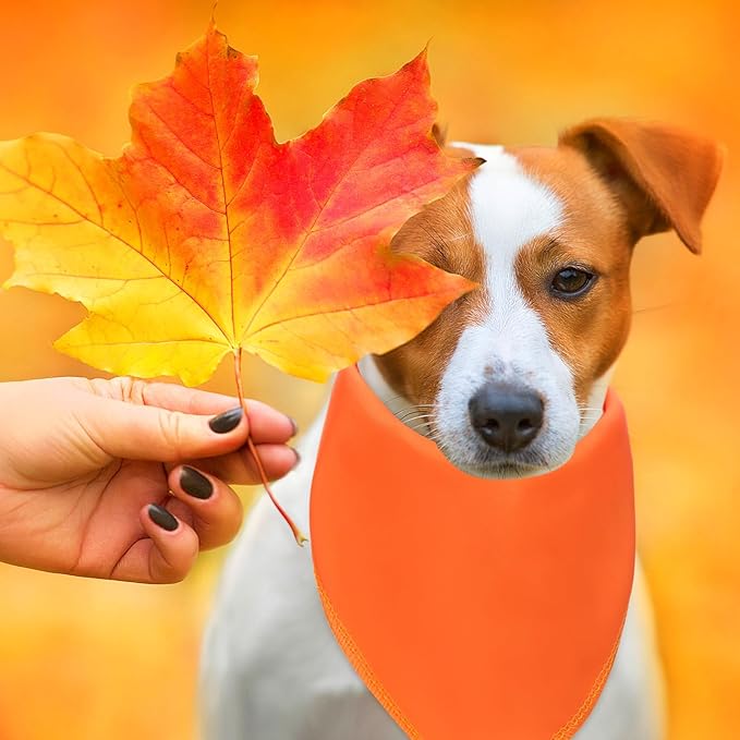 48 Pcs Fall Dog Bandanas Bulk Sublimation Blank Bandanas for Dogs Heat Transfer Triangle Bibs DIY Scarf for Small Medium Large Puppy Pets Halloween Christmas Costume(Red Yellow Orange Brown)