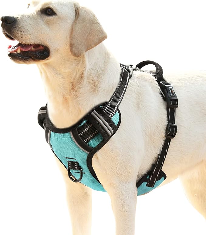HEELE Dog Harness, No Pull Adjustable Padded Reflective Harness for Small Medium Large Dogs with Handle for Walking Training, Turquoise, XL