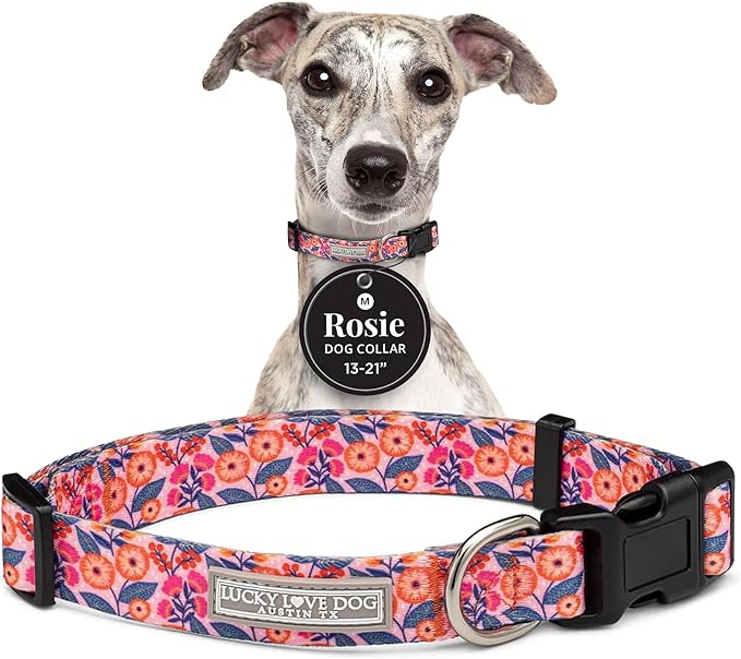Lucky Love Dog - Adjustable Dog Collar with Easy Click Buckle for Small to Large Ones, Durable, & Comfortable for Male & Female Dogs, Pet Collar for Puppies & Adult Dogs - Rosie, Medium