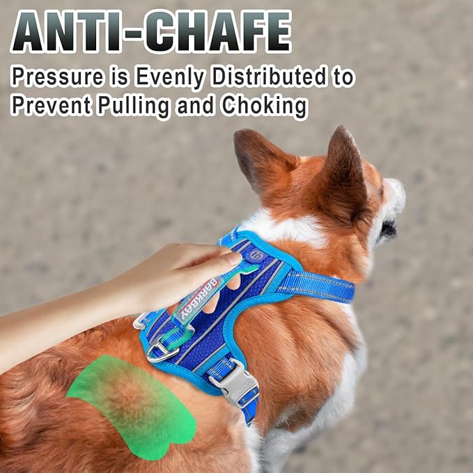 BARKBAY No Pull Dog Harness Large Reflective Dog Harness with Front Clip and Easy Control Handle for Walking Training Running with ID tag Pocket(Sapphire Blue & Blue,XS)