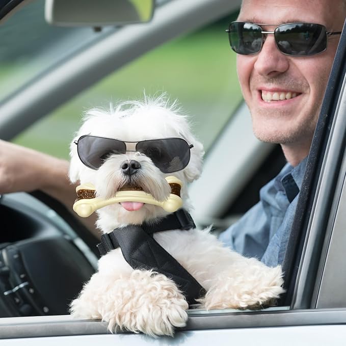 Sosation 6 Pcs Dog Toys for Aggressive Chewers Nylon Beef Flavor Bones Tough Puppy Teething Toys Puppy Chew Bones for Large Medium Small Breed Dogs Puppies Pets Chew Toys(Small Medium Large)