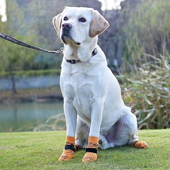 KOOLTAIL Dog Socks for Hot/Cold Pavement to Prevent Licking Paws,Dog Boots&Paw Protector for Hardwood Floors Anti Slip,Traction Control No Twist Grip Booties for Small Medium Large Senior Dogs M