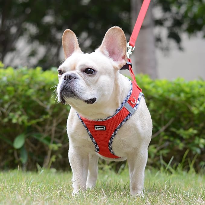 Mercano Soft Mesh Dog Harness and Leash Set, No-Chock Step-in Reflective Breathable Lightweight Easy Walk Vest Harnesses with Safety Buckle for Small Dogs, Cats (Red, XS)