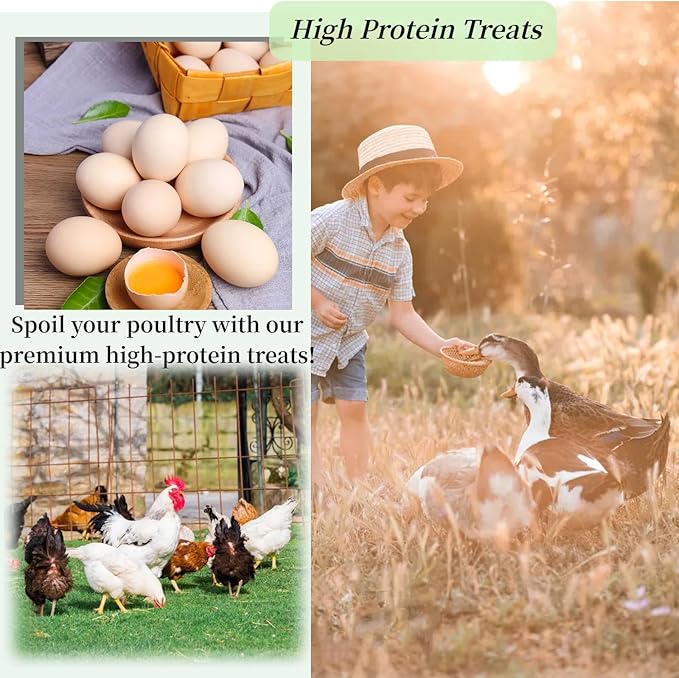 5LB Dried Black Soldier Fly Larvae, 100% Natural Non-GMO Chicken Feed, More Calcium Than Dried Mealworms, High Protein Chickens Treats for Laying Hen, Wild Birds, Ducks