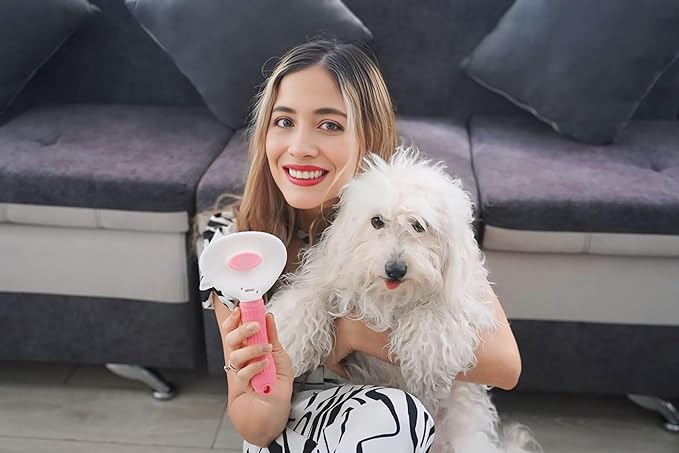 Essential Pet Supplies: Pet Collar for Small Dogs with Reflective AirTag Holder and Secure,Comfortable Padding Bundled with Safe Dog Nail Clippers and Self-Cleaning Dog Brush