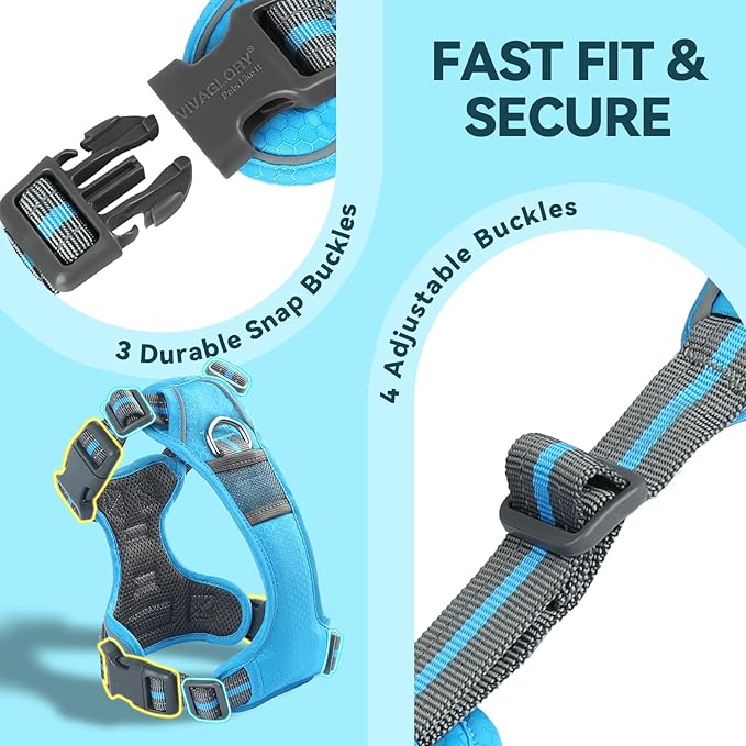 VIVAGLORY Dog Harness Easewalk No Pull Dog Harness with Handle & Front Back Clip for Training Lifting, Easy On Adjustable Padded No Pull for Pet & Puppy, L, Blue