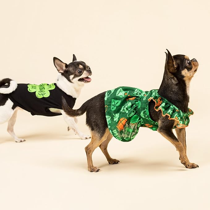 Fitwarm Happy St Patricks Day Pet Clothes, Summer Cat & Dog Outfit for Small Boys & Girls, Funny Tshirt, Lightweight Breathable Cotton, Black & Green, XL