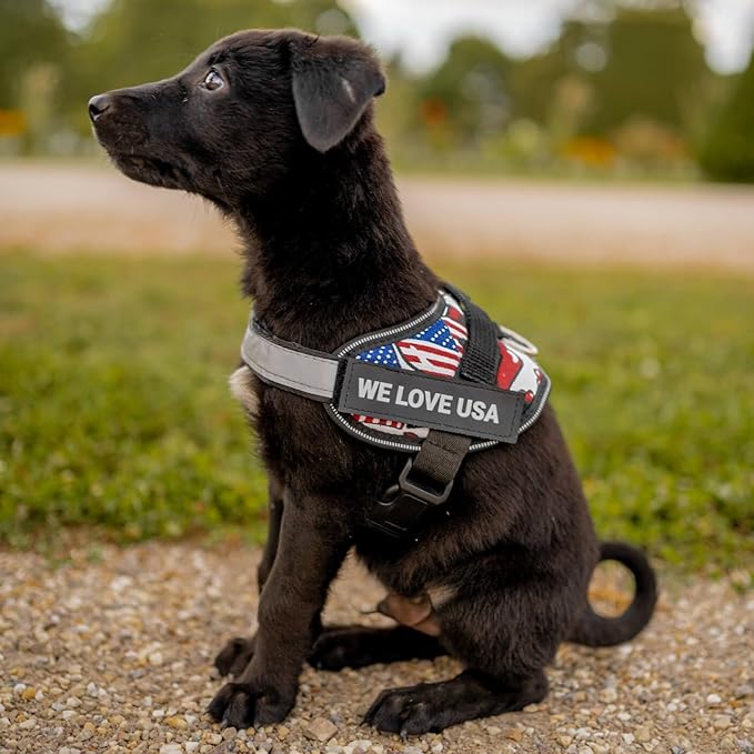 Personalized No-Pull Dog Harness with Name Patch, Adjustable, Reflective, Padded, Heavy Duty Pet Vest to Prevent Tugging, Pulling, or Choking, Training and Walking, Military Desert, 2XL
