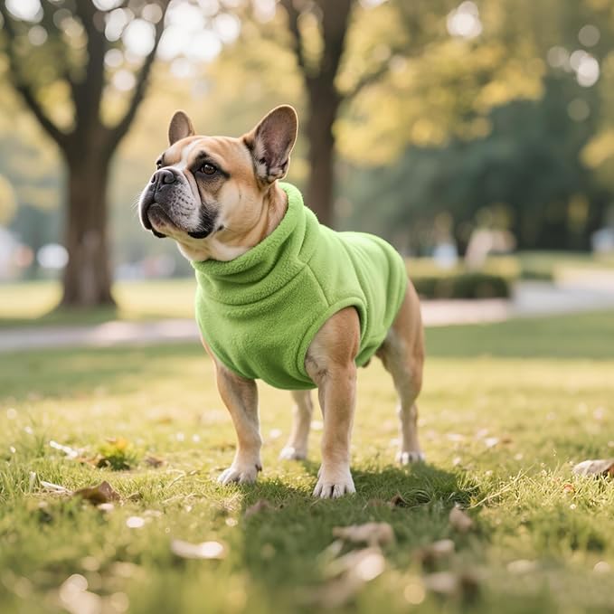 Idepet Dog Fleece Vest Sweater Zip Up Warm Pullover Dogs Jacket with D-Ring Leash Winter Cold Weater Coat Pet Sweatershirt Clothes Hoodie for Small Medium Dogs Boy Girl(Green,S)