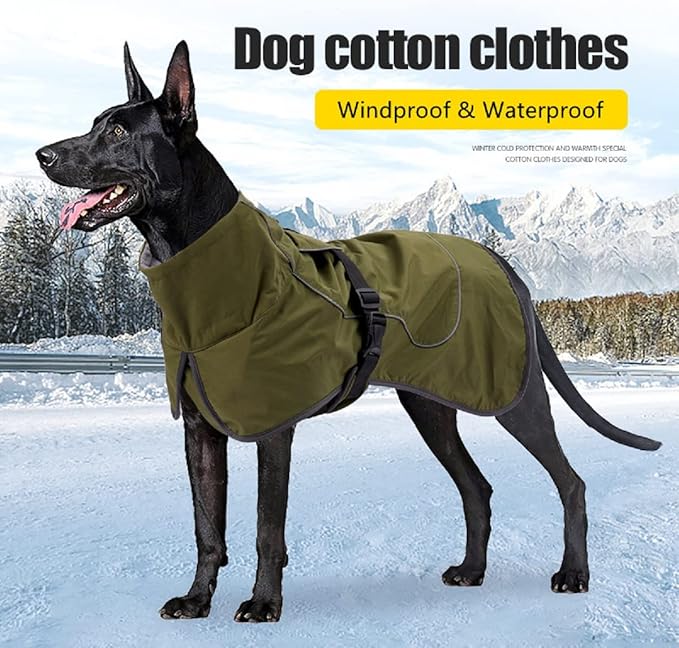 Barkworthies Dog Raincoat - Waterproof Winter Jacket with Velvet Inner, Reflective Strip, Green, XL