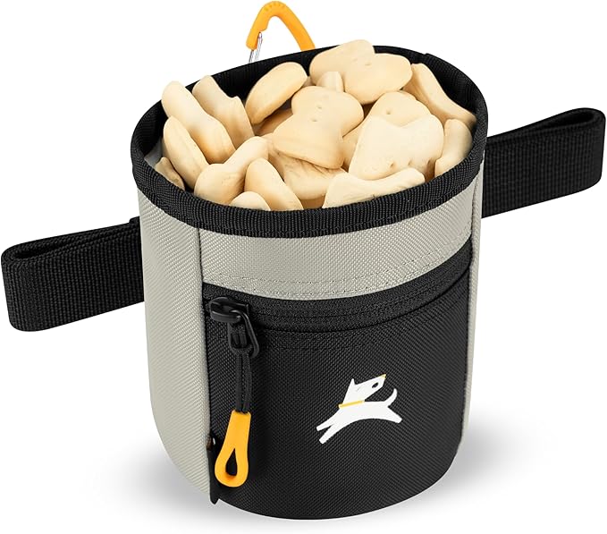 OllyDog Goodie Treat Bag, Dog Treat Pouch, Waist Belt Clip for Hands-Free Training, Magnetic Closure, Dog Training and Behavior Aids, Three Ways to Wear (Wasabi Stone)