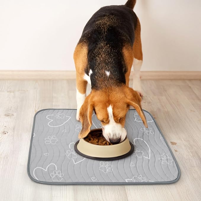 Washable Pee Pads for Dogs Reusable: 2 Pack Reusable Puppy Pads Waterproof and Absorbent - Non-Slip Dog Whelping Pads for Crate, Floor, Couch, 30"x 34"