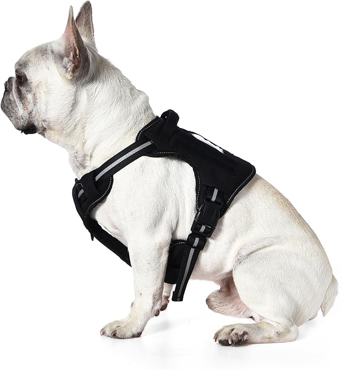 Amazon Basics No Pull Dog Harness, Adjustable Front Clip, Tactical Vest, Small, Black