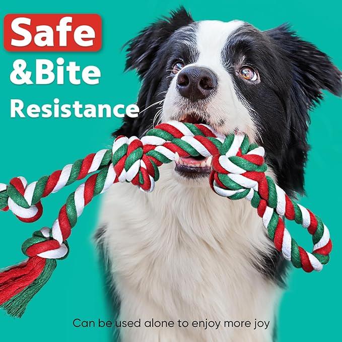 Petbobi Bungee Dog Toy, Outdoor Dog Tug Toy for Pitbull Interactive Exercise, Spring Pole Tug-of-War Toy with Durable Rope, Hanging Toy for Large Dogs to Reduce Boredom, Red