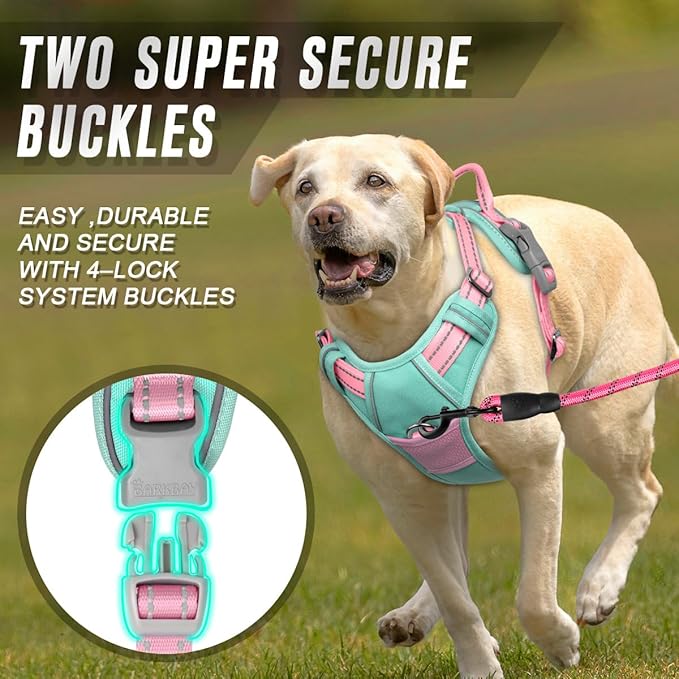 BARKBAY No Pull Dog Harness Front Clip Heavy Duty Reflective Easy Control Handle for Large Dog Walking(Cool Mint & Baby Pink,L)