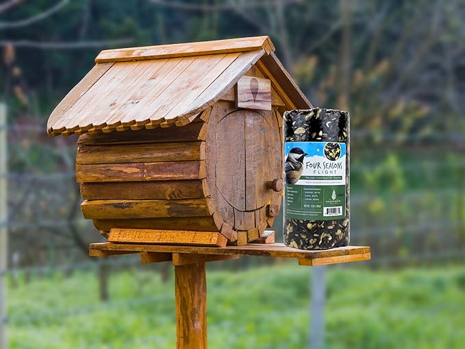 Birdseed Cylinders with Hole - Bird Seed for Outside Wild Birds (Small Cylinder, Four Seasons Flight 2pc)
