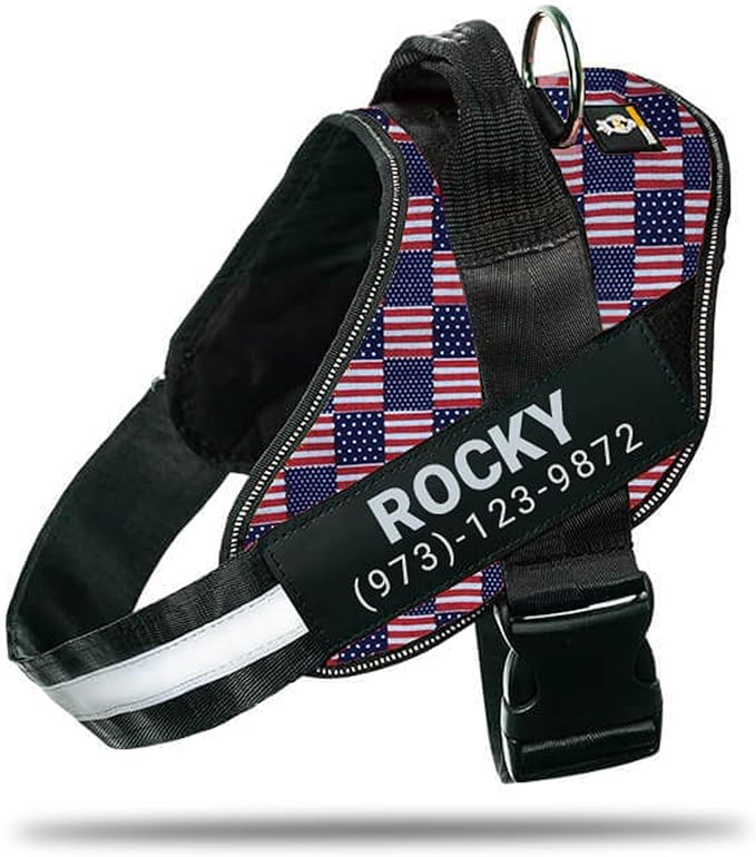 Personalized No-Pull Dog Harness with Name Patch, Adjustable, Reflective, Padded, Heavy Duty Pet Vest to Prevent Tugging, Pulling, or Choking, Training and Walking, US Flag, S