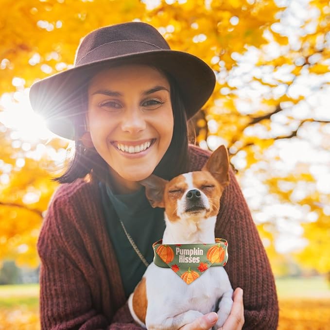 Abbylike 50 Pcs Dog Bandanas Bulk Pet Scarfs Triangle Bibs Adjustable Washable Puppy Kerchief Seasonal Pet Costume Accessories Grooming Supplies for Small Medium Large Dogs Cats(Fall)