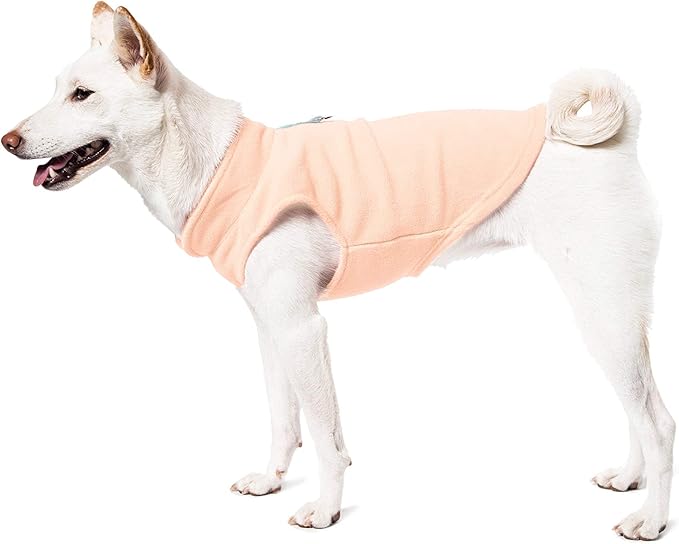 Gooby Fleece Vest Dog Sweater - Lime, X-Small - Warm Pullover Fleece Dog Jacket with O-Ring Leash for Small to Medium Dogs