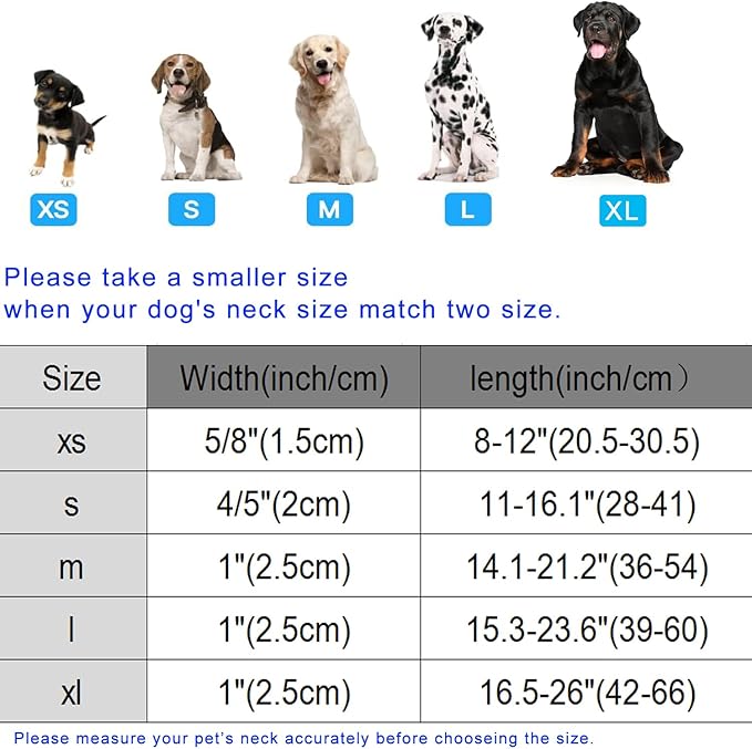 DOGWONG Strawberry Dog Collar, Blue Dog Collars Blueberry Adjustable Cute Pet Collars Girl Design Dog Collar for Small Medium Large Dogs