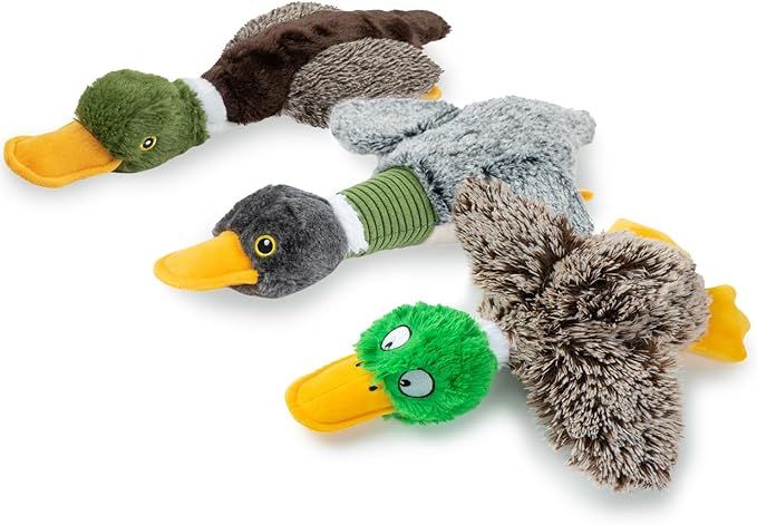 Best Pet Supplies Interactive Mallard Mates Dog Toy with Crinkle and Squeaky Enrichment for Small and Medium Breed, Cute and Plush - Mallard Duck Wing Bundle (Gray, Gray, Brown), Small