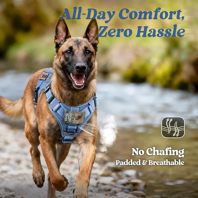 rabbitgoo Tactical Dog Harness Medium Sized, No Pull Upgraded Reflective Heavy Duty Molle Vest with Handle, Adjustable Military Service Dog Vest for Walking Hiking Training, Blue, M