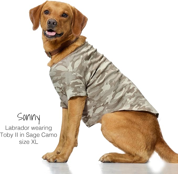 Toby II - The Perfect Tee, 3 Pack Short Sleeve Pet T-Shirt 100% Organic Cotton Tees Clothes for Small, Medium, Large Dogs, Sage Camo, XX-Small
