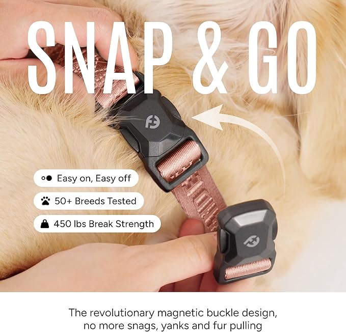 2025 New Edition, Fei & Eve MagEase Dog Collar - Patented Magnetic Buckles | Fur-Safe | Premium 210D Nylon | 450LB Escape-Proof | Adjustable Fit | Small (Blush)
