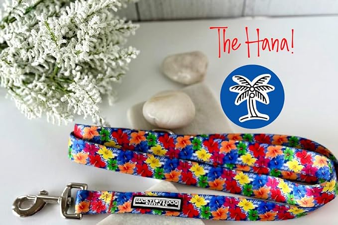 Lucky Love Dog - Easy Click Buckle Dog Collar with Leash Set Combo, Durable & Comfortable for Male & Female Dogs, Pet Collar for Small to Large Dogs, Secure Fit - Hana Combo, Medium