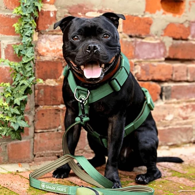 Spark Paws No Pull Dog Harness for Large Dogs, Heavy Duty Dog Harness for Big Strong Breeds, Adjustable, Y Shaped Padded Halter Design with Front Clip - Solid Green – S