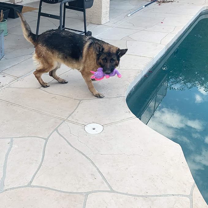 Jalousie Plush Toys Assortment Value Bundle Puppy Pet Mutt Squeak Toy for Medium Large Dogs (5 Pack Corduroy)